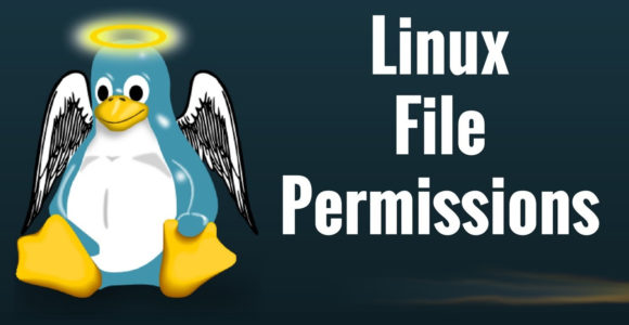 Linux File & Folder