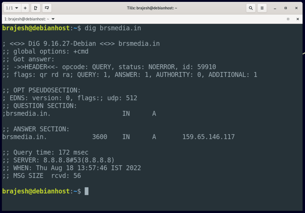 dig command execution for dns